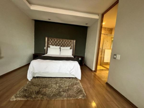The Franklin Loft Apartments - Apartment 1009